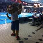 primorje spandau vaterpolo hrki