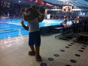 primorje spandau vaterpolo hrki