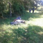 čišćenje kampusa-11