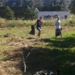 čišćenje kampusa-9