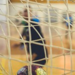 16.7. - Rijeka - Rukomet Z 009