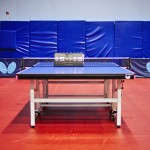 19-7-Zagreb-Stolni tenis-Mirna Pibernik-438