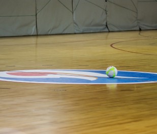 SONY DSC