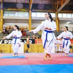 Karate natjecanje (10)